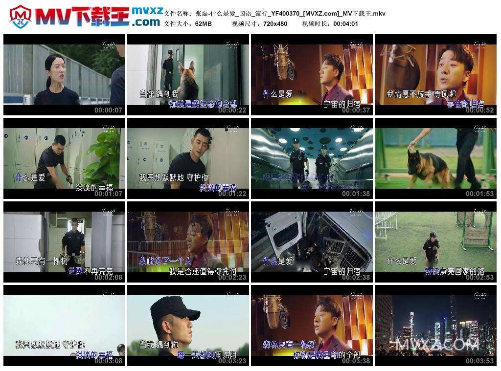 张磊-什么是爱_国语_流行_YF400370